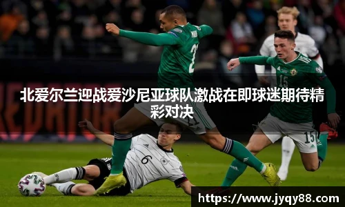 北爱尔兰迎战爱沙尼亚球队激战在即球迷期待精彩对决